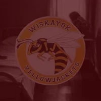 yellowjackets 