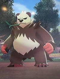 Chocolate Pangoro