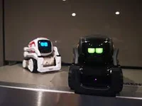 Cozmo and Vector