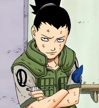 SHIKAMARU NARA