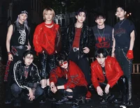 Stray kids