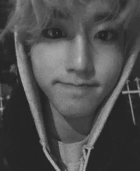 han jisung - minsung