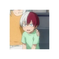 2MHA SHOTO TODOROKI 