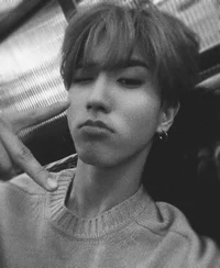 han jisung - minsung