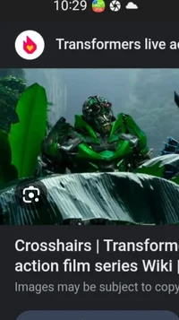 Crosshairs 