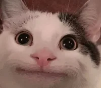 Scaots