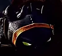 Captured Toothless