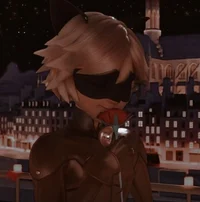 Chat Noir