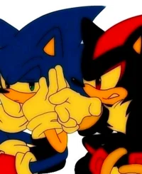 Sonic and Shadow