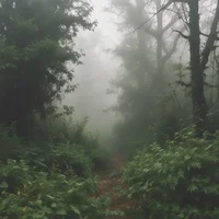 Zombie apocalypse 