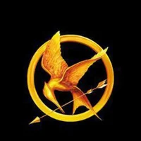 Hunger games gc B1
