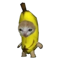 Banana Cat