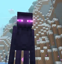 Enderman