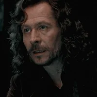 HP - Sirius O Black