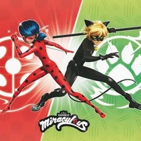 Ladybug and Cat Noir