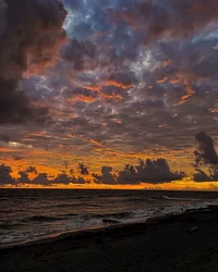 Ты превратилась