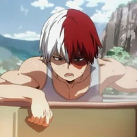 Shoto Todoroki