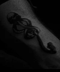 Regulus