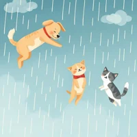 Raining Cats n Dogs