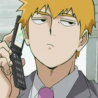 MP100 Reigen 