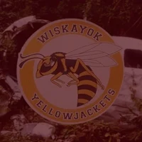 yellowjackets 