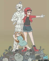 Cells At Work