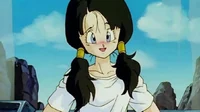 Videl 