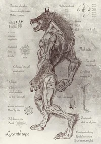 Ночь волков- ENG