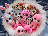Beanie Boos