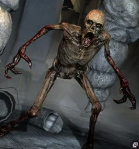 Necromorph Feeder