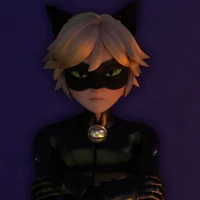Cat noir