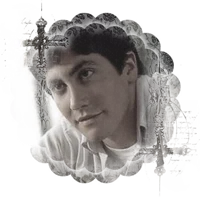 donnie darko