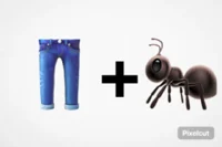 Ants in your pants