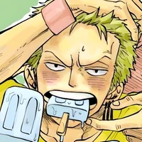 Zoro - Zosan Au
