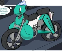 Motorcycle Shygal