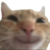 Fruits bascket react