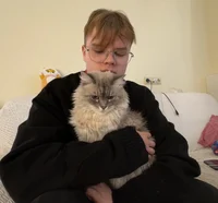 аллер говна поела