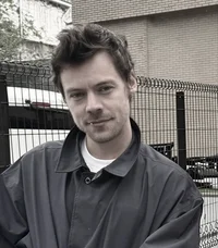 harry styles - 2025
