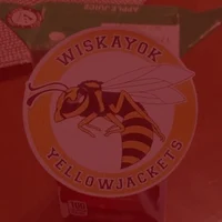 yellowjackets 