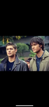 Winchesters