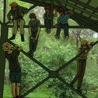 School bus graveyard