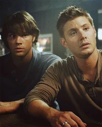 Winchester Brothers