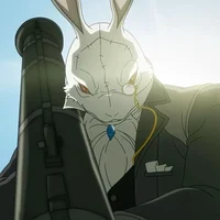 White rabbit - DMC