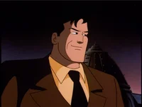 Bruce Wayne Animated