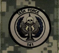 Task force 141