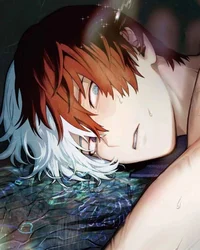 MHA2 Shoto Todoroki