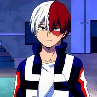 Shoto todoroki 