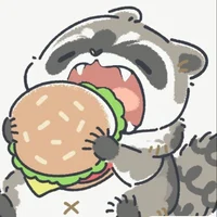 RaccoonBoy