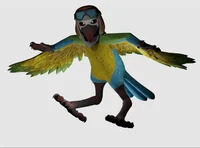 Mollie Macaw
