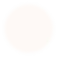 31 - DIVIDER